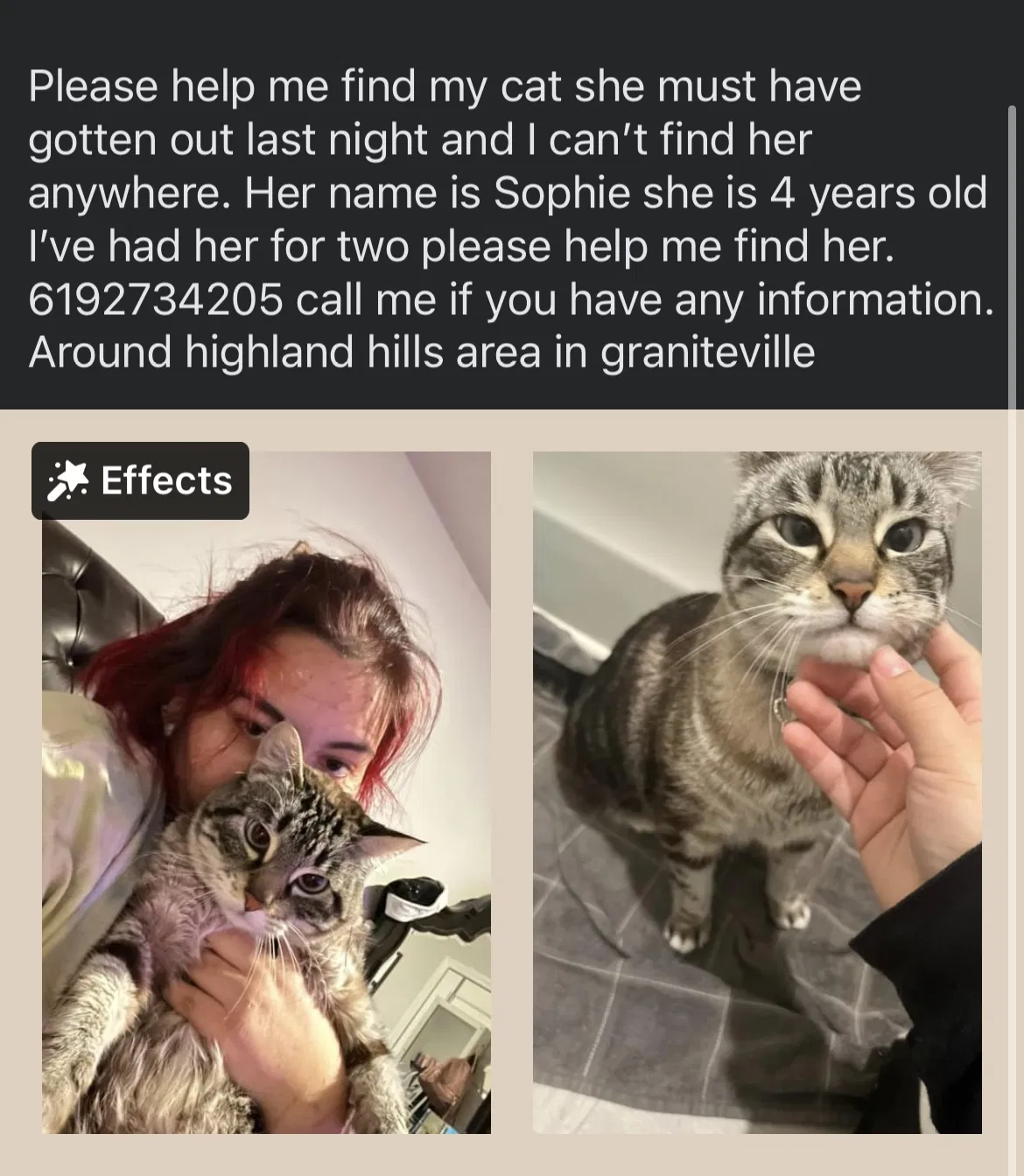 Lost cat in Graniteville, SC, 29829