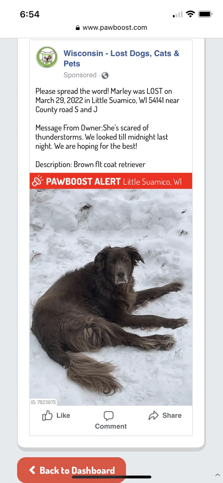 Lost dog in Little Suamico, WI, 54141
