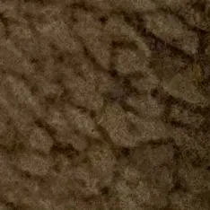 Lost cat in Germantown, TN, 38139