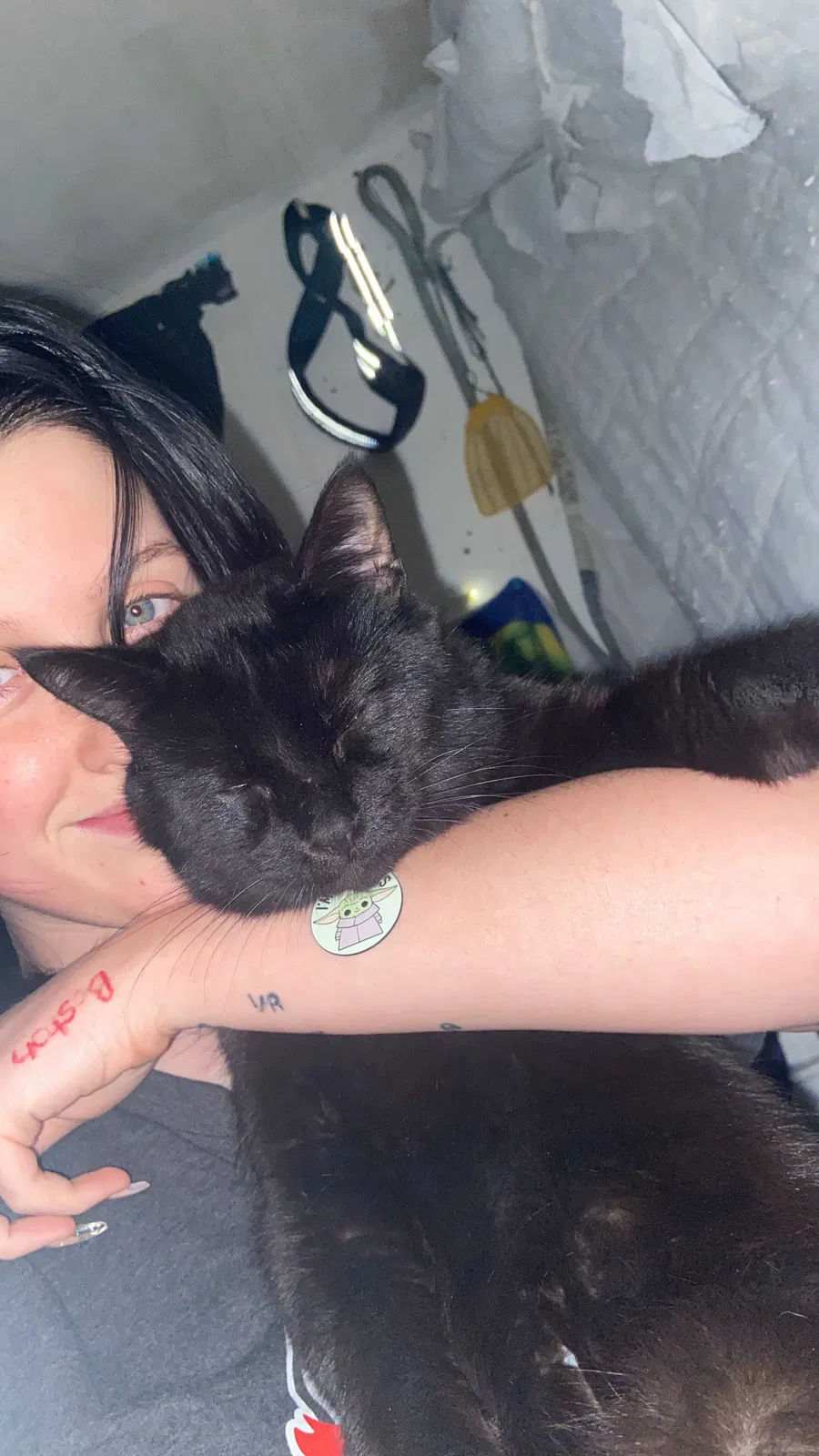 Lost cat in Burgaw, NC, 28425