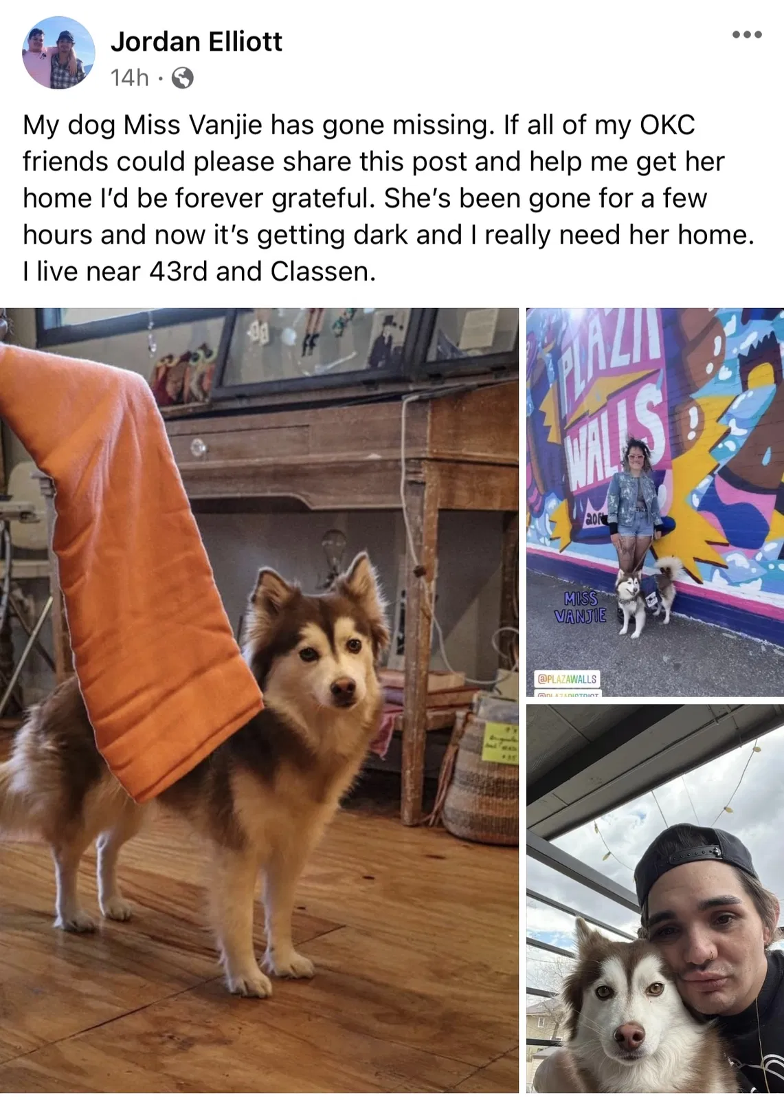 Lost dog in Oklahoma City, OK, 73118