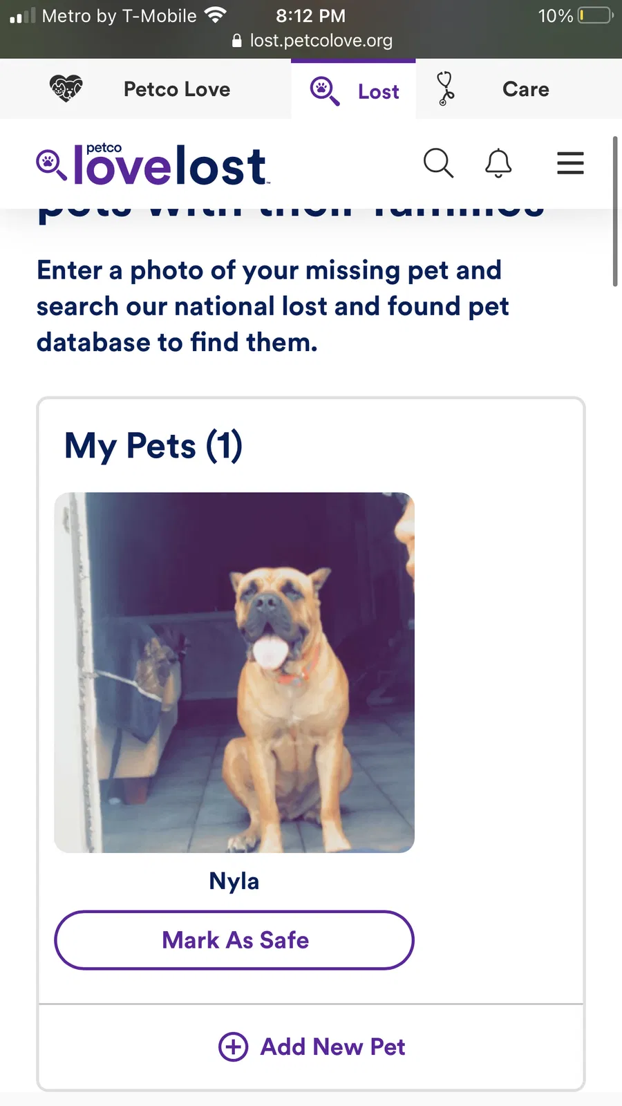 Lost dog in Saint Petersburg, FL, 33705