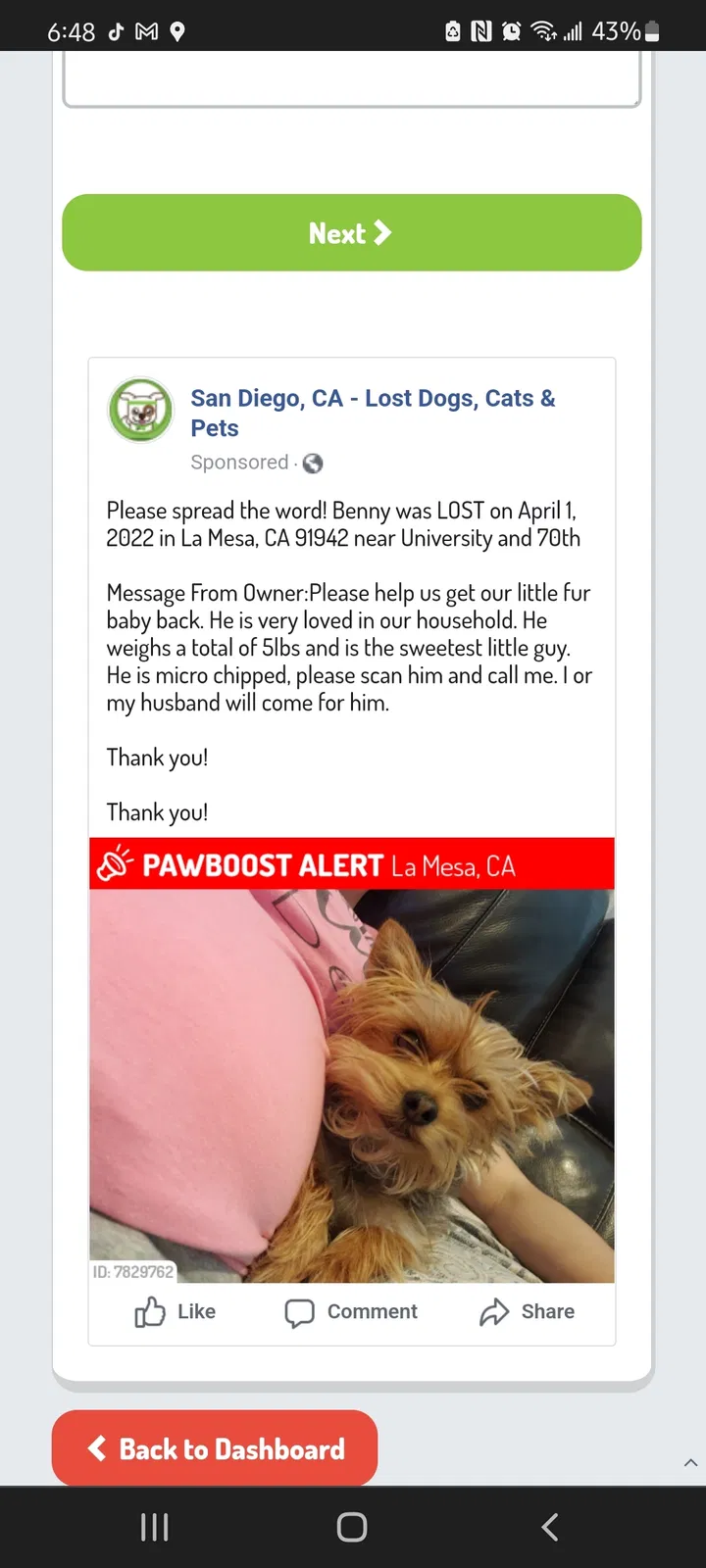 Lost dog in La Mesa, CA, 91942