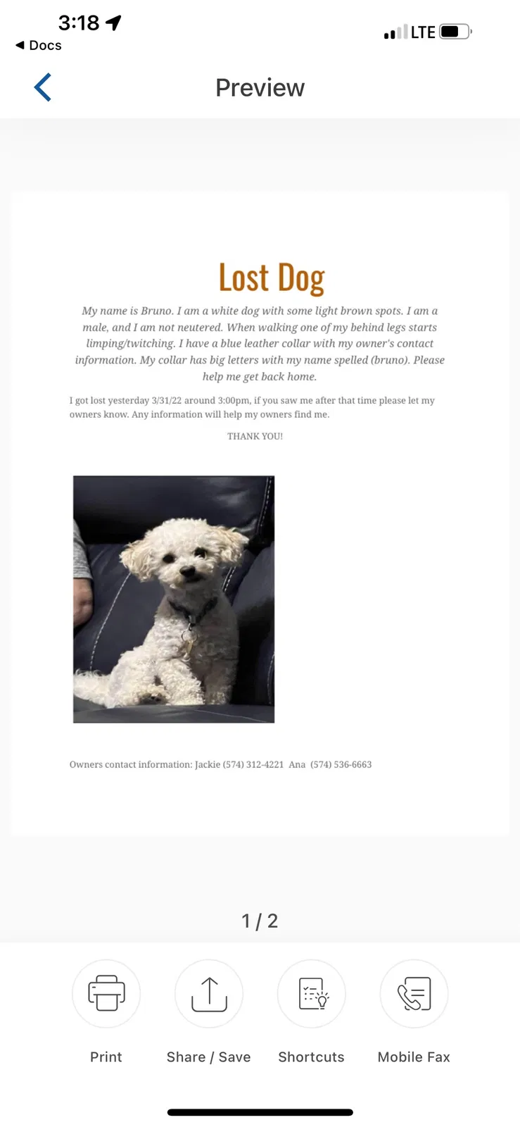 Lost dog in Goshen, IN, 46528