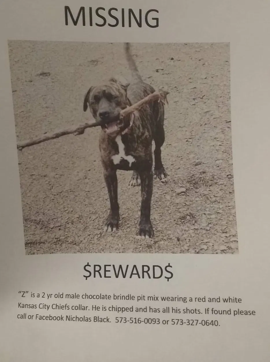 Lost dog in Bonne Terre, MO, 63628