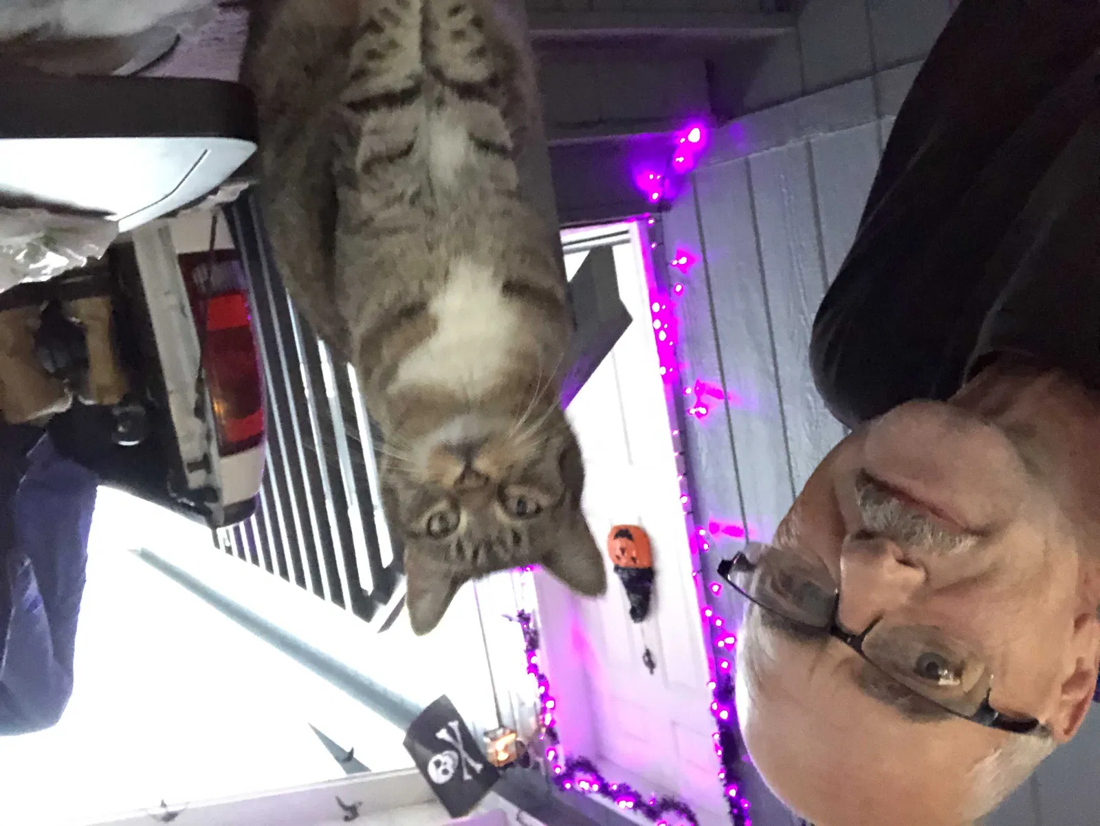 Lost cat in Marysville, WA, 98270