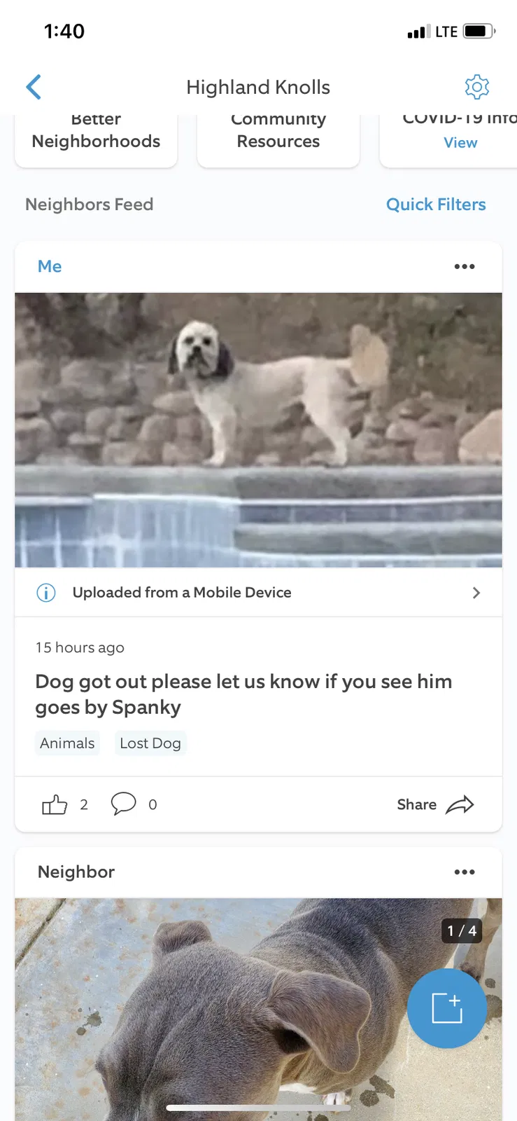 Lost dog in Bakersfield, CA, 93308