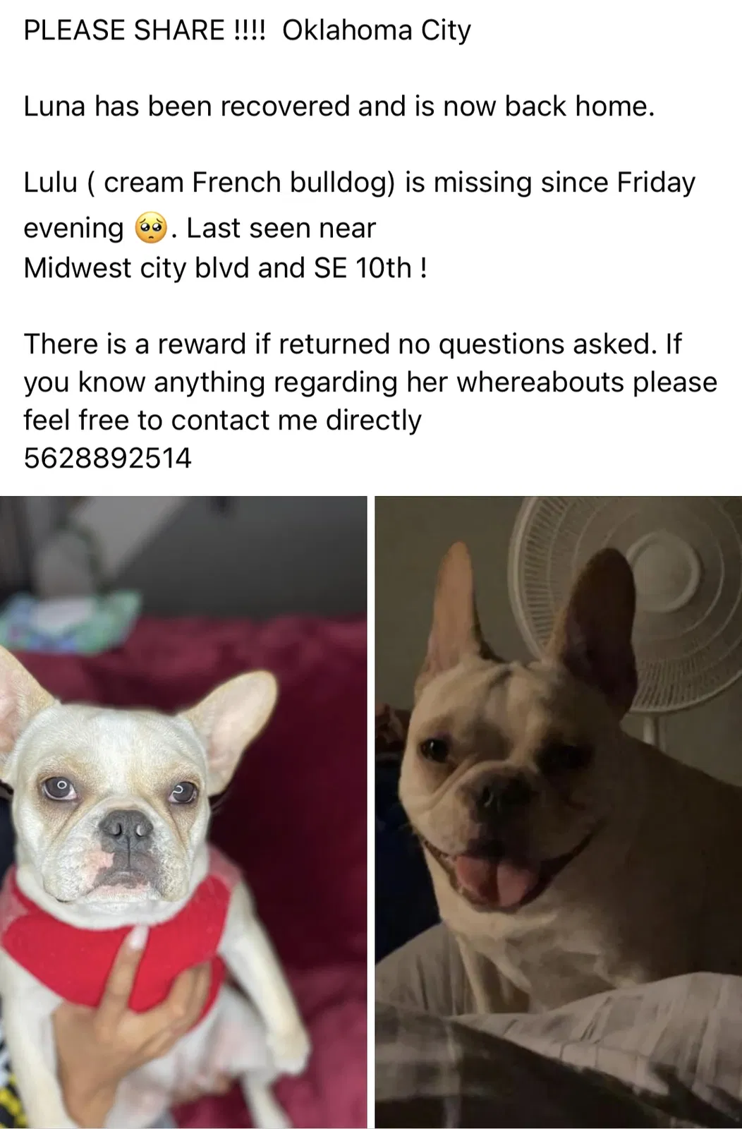 Lost dog in Oklahoma City, OK, 73110