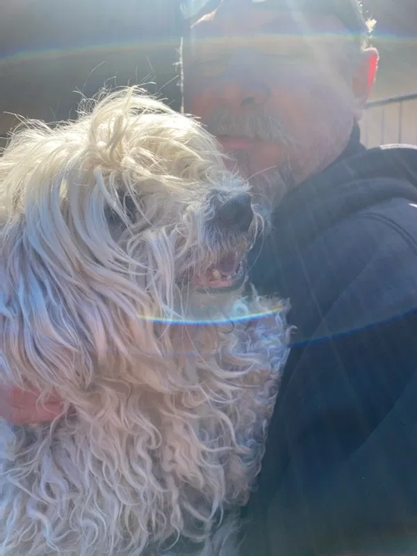 Lost dog in Riverside, CA, 92503