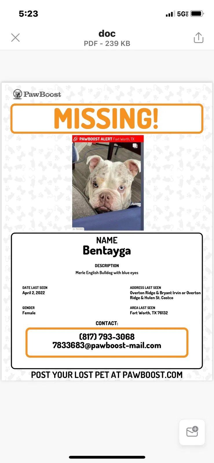 Lost dog in Fort Worth, TX, 76132