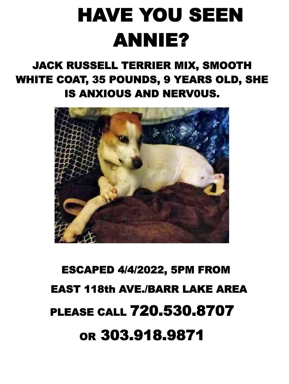 Lost dog in Commerce City, CO, 80022