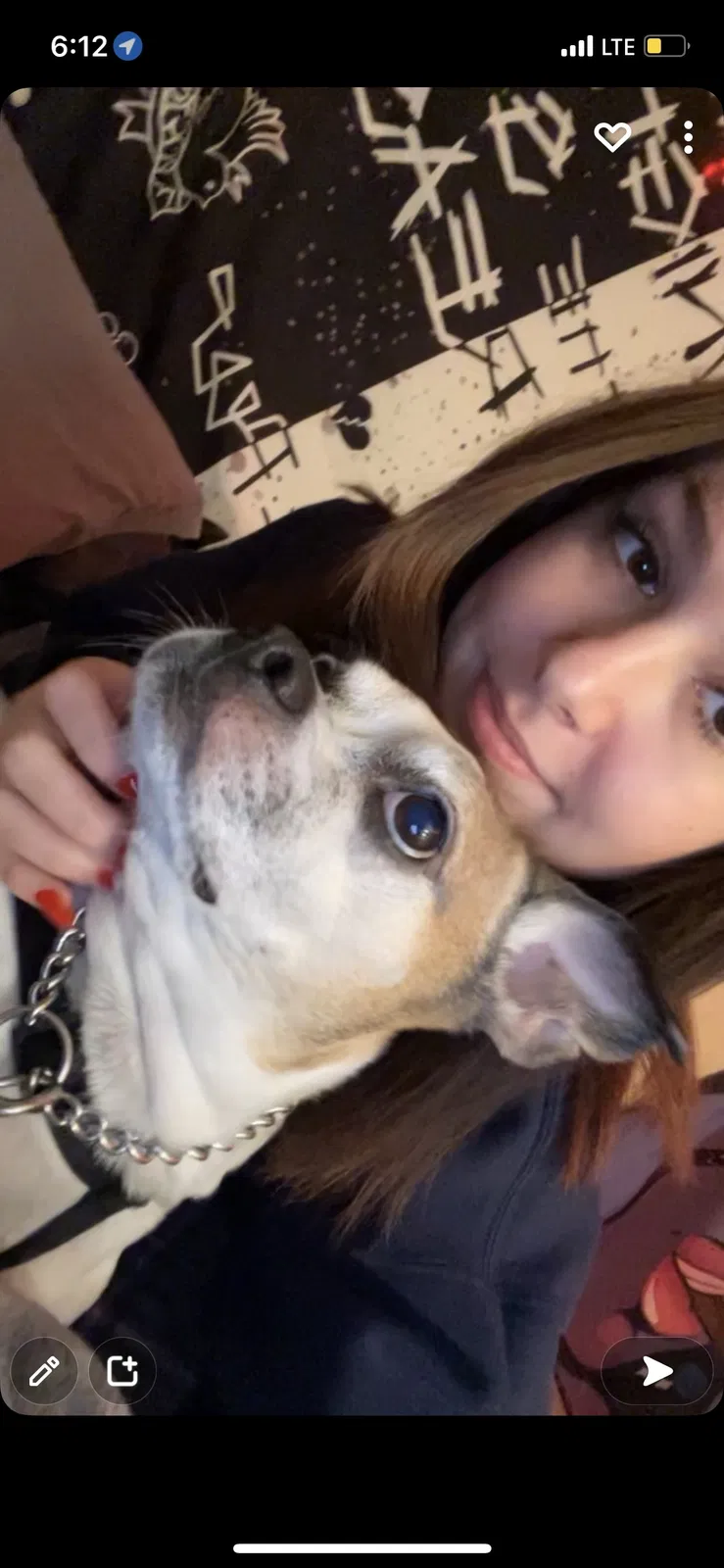 Lost dog in Daytona Beach, FL, 32117
