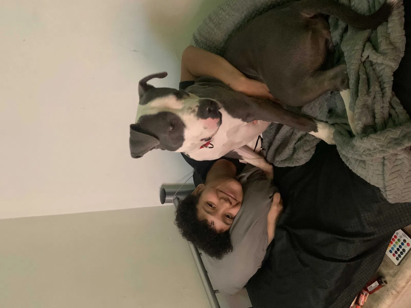 Lost dog in Hamtramck, MI, 48212