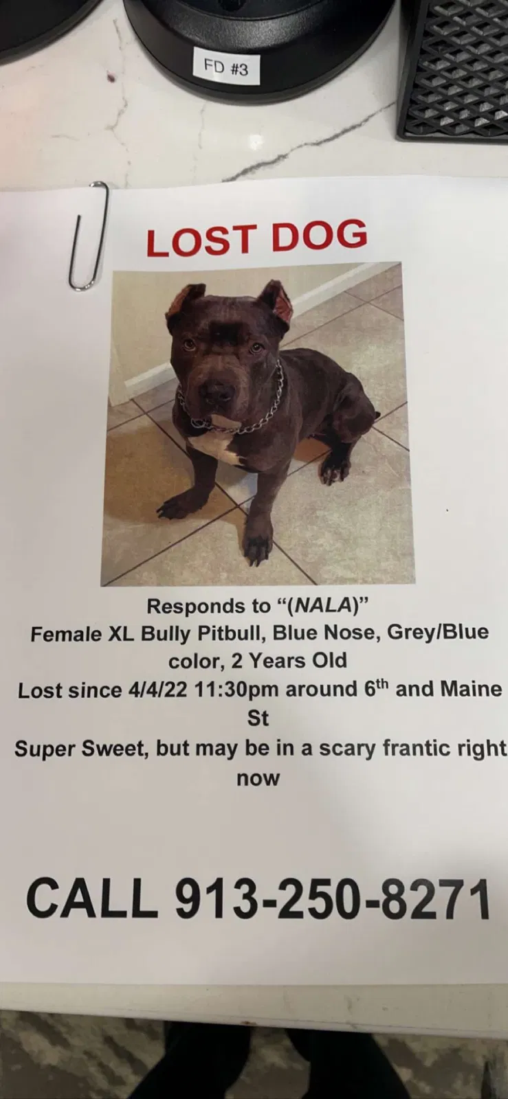 Lost dog in Lawrence, KS, 66044
