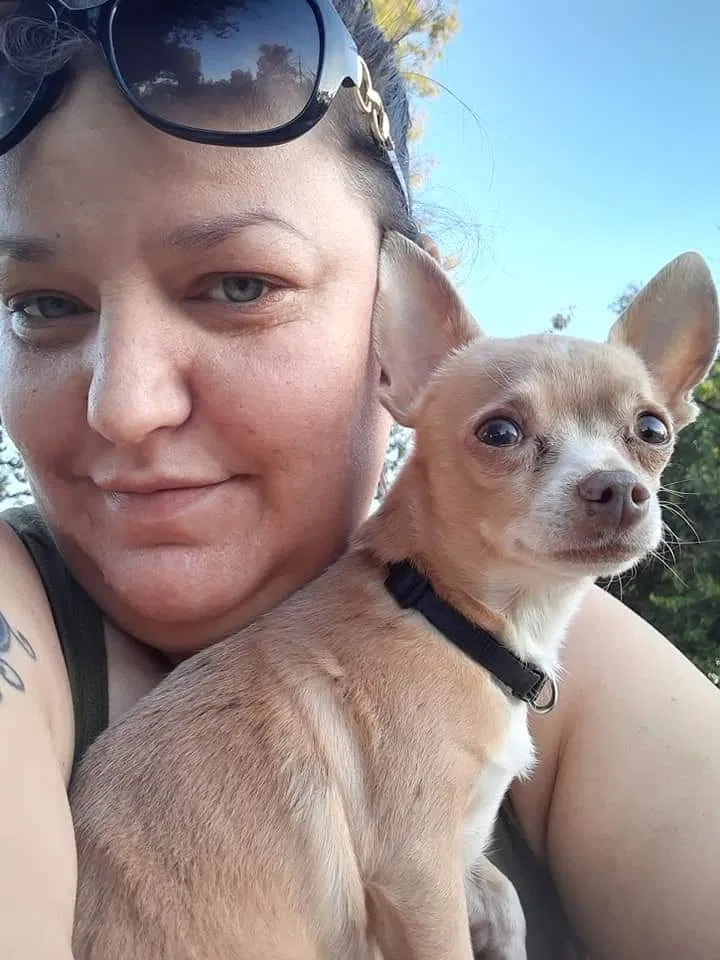 Lost dog in Antelope, CA, 95843
