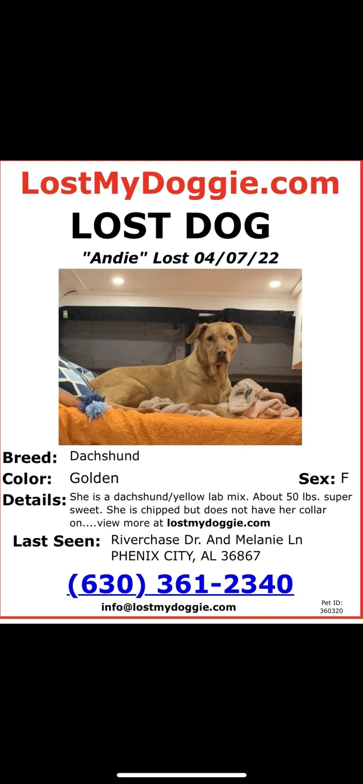 Lost dog in Phenix City, AL, 36867