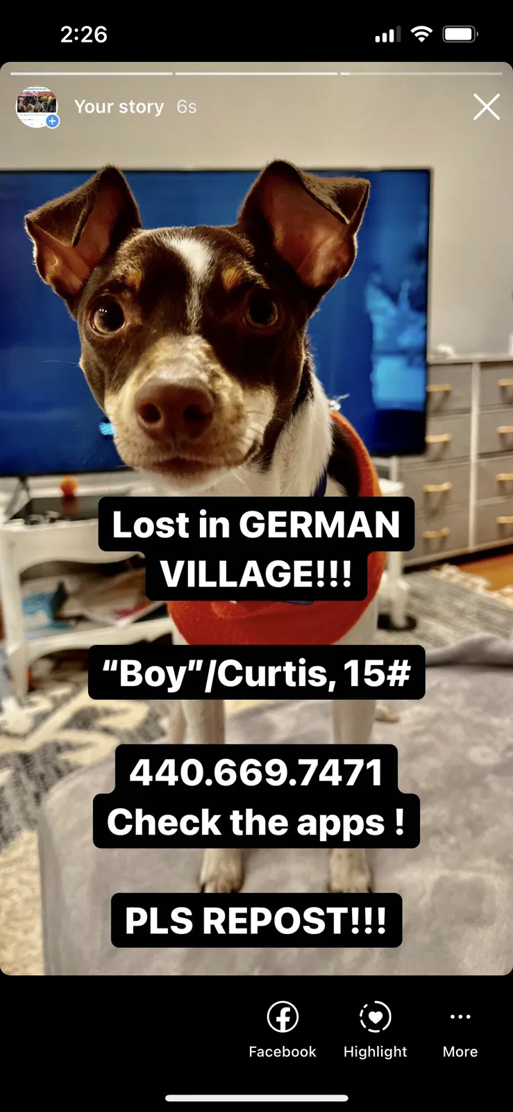 Lost dog in Columbus, OH, 43207
