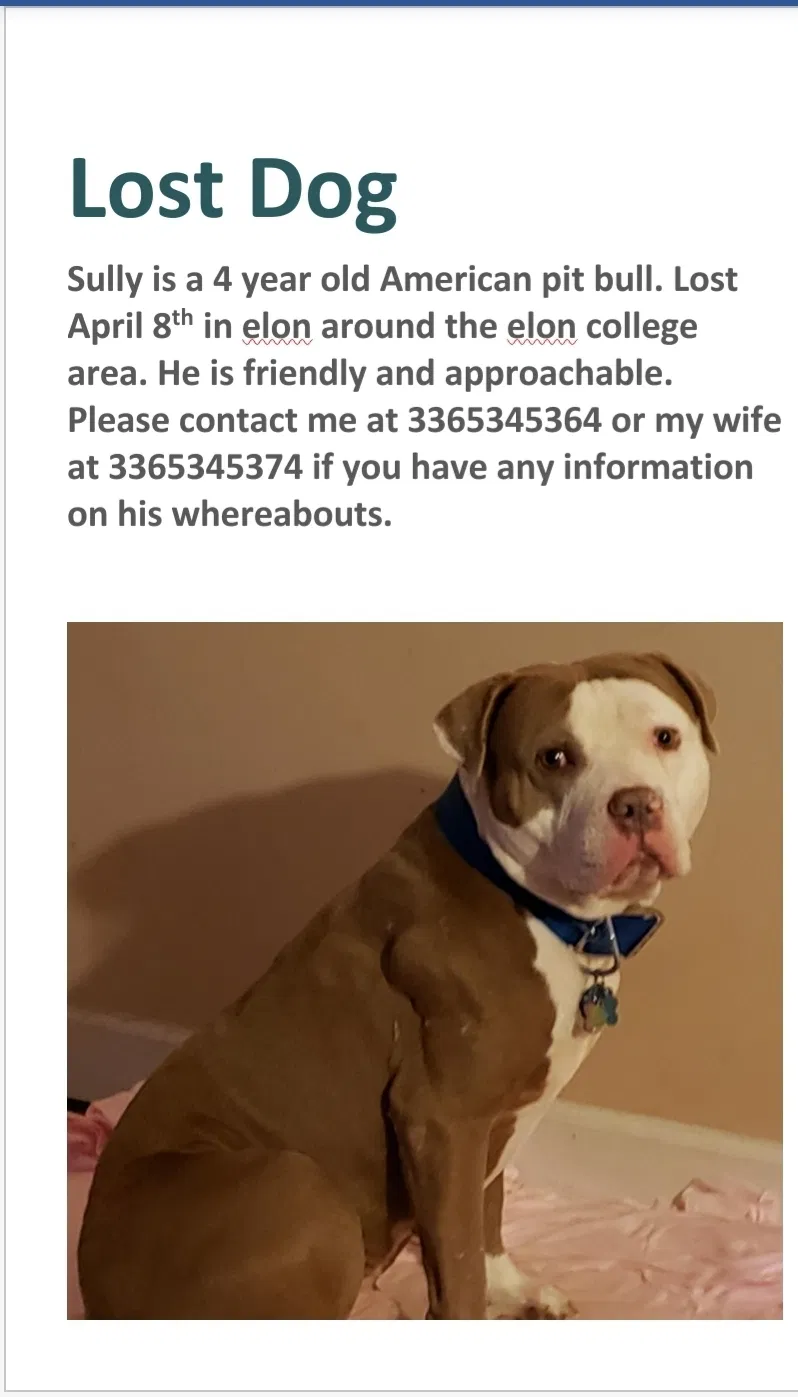 Lost dog in Elon, NC, 27244