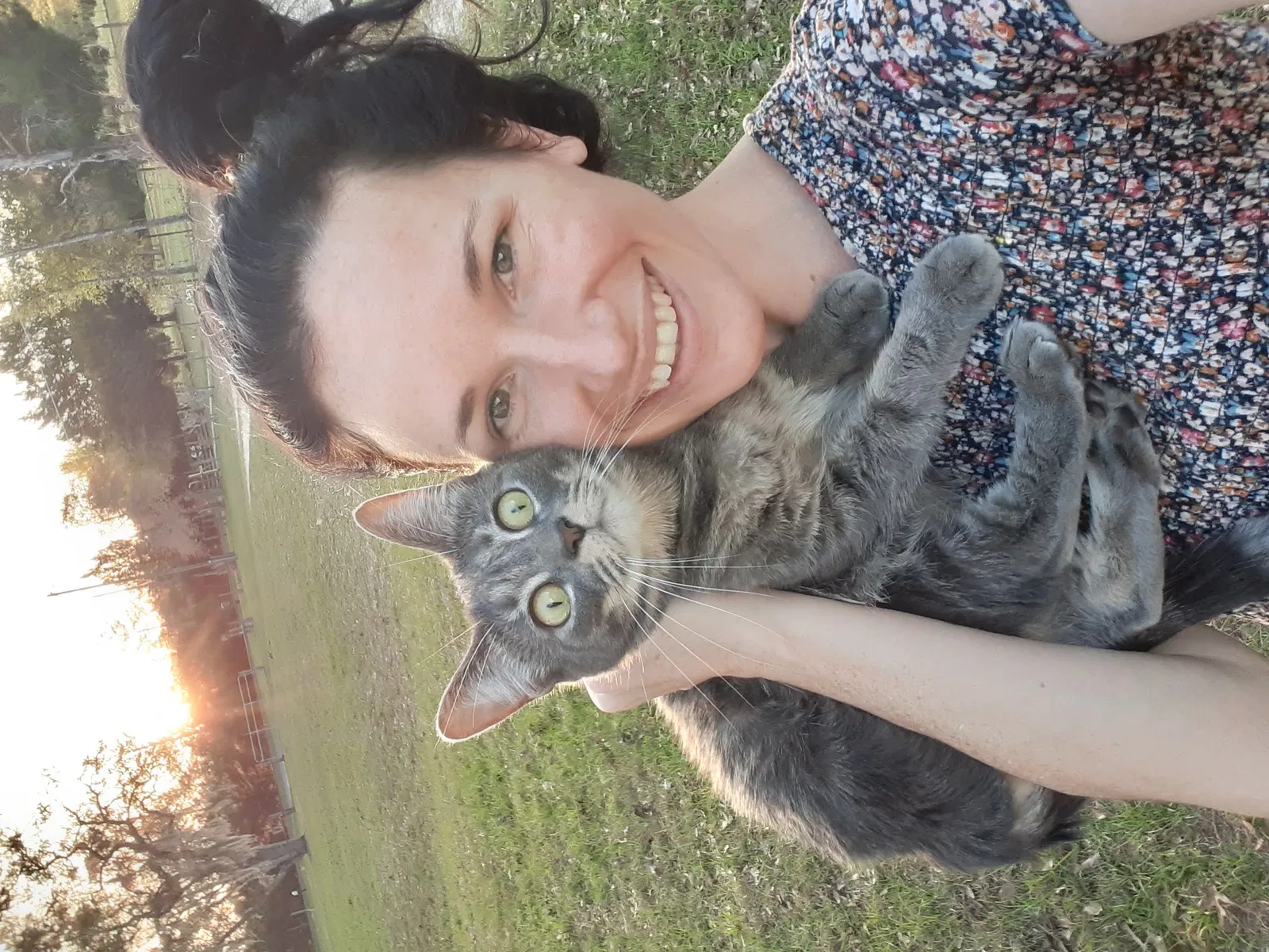 Lost cat in Summerfield, FL, 34491