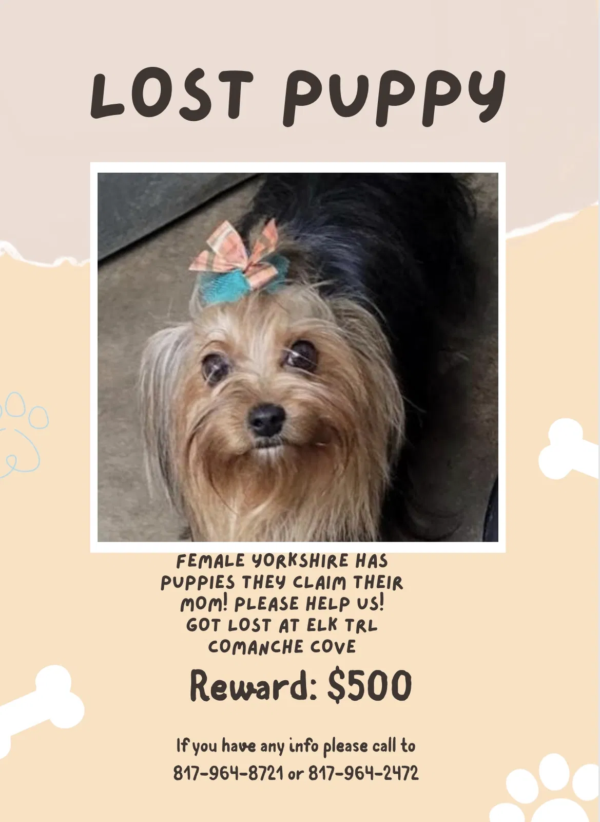 Lost dog in Granbury, TX, 76048