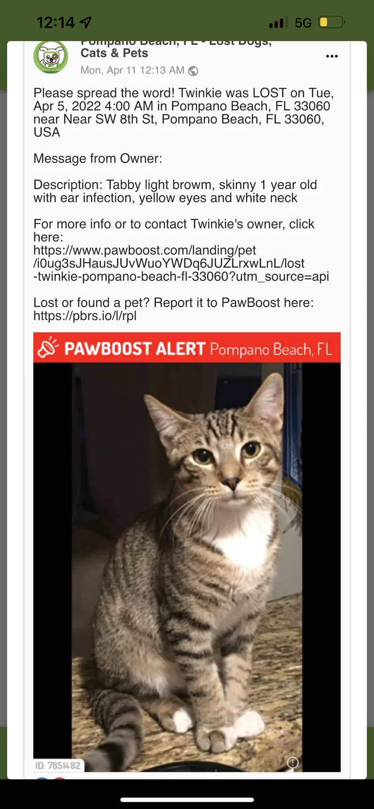 Lost cat in Pompano Beach, FL, 33060