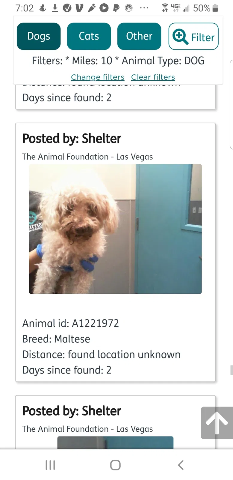 Lost dog in Las Vegas, NV, 89109
