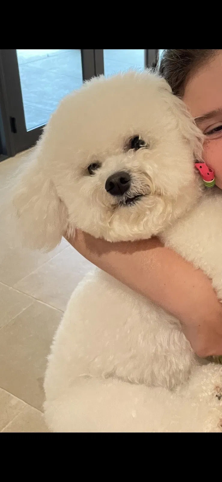Lost dog in Dallas, TX, 75209