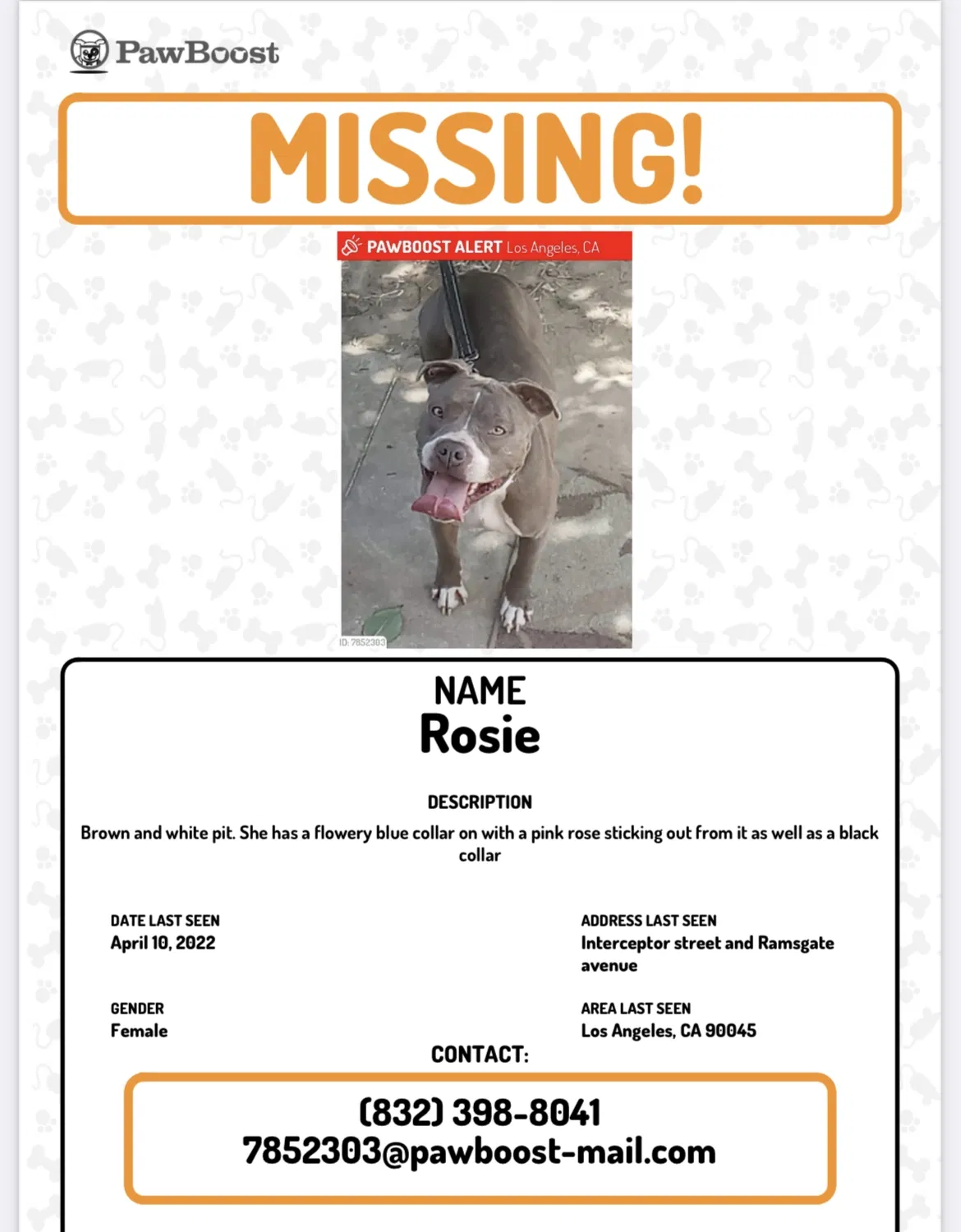 Lost dog in Los Angeles, CA, 90045
