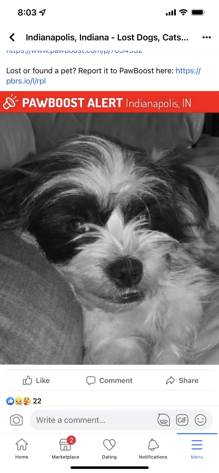 Lost dog in Indianapolis, IN, 46202