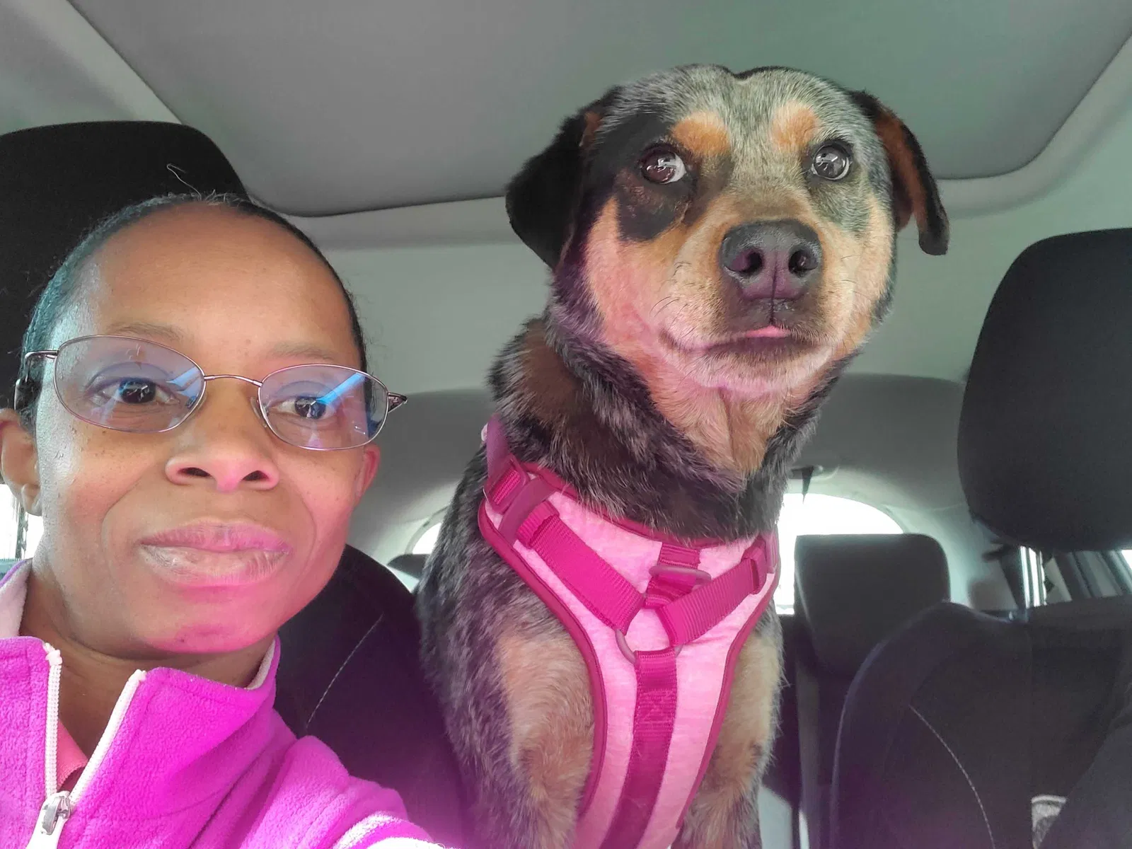 Found dog in Oklahoma City, OK, 73111