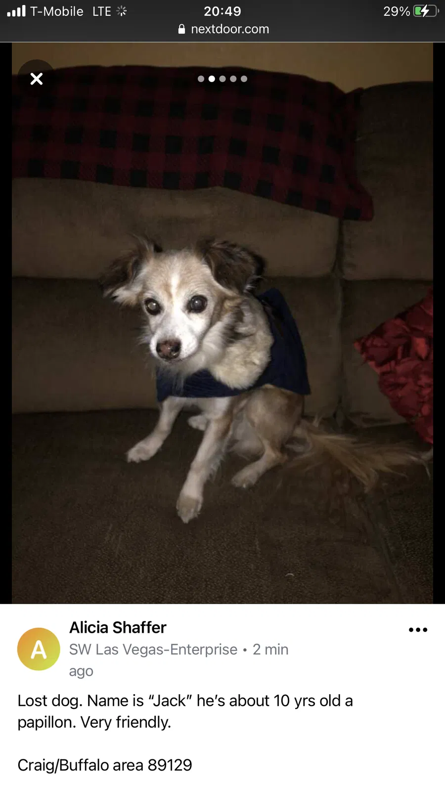 Lost dog in Las Vegas, NV, 89129