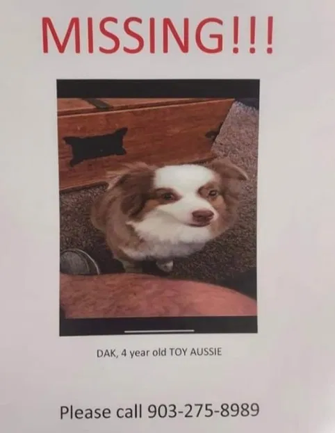 Lost dog in Mabank, TX, 75147