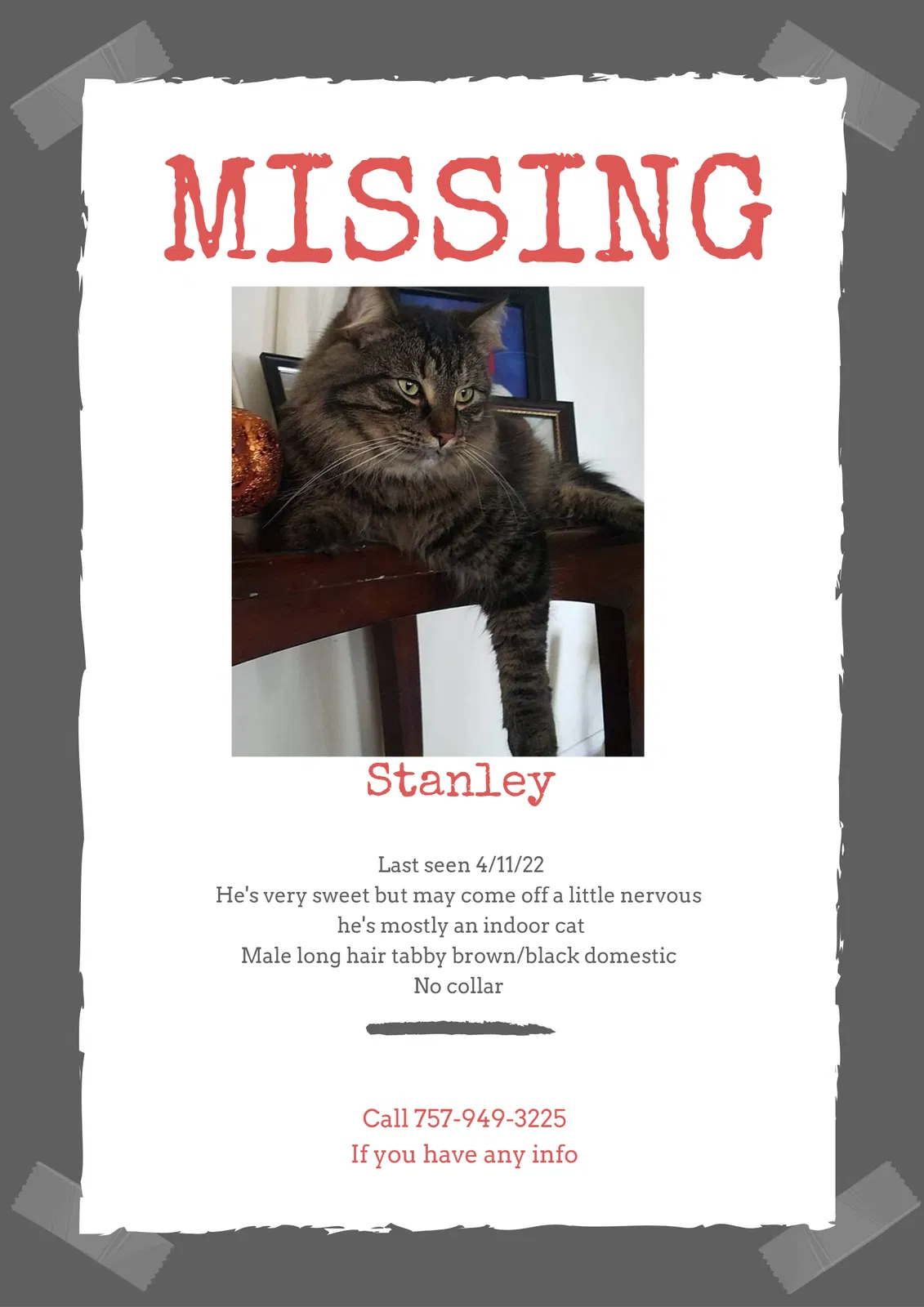 Lost cat in Norfolk, VA, 23518