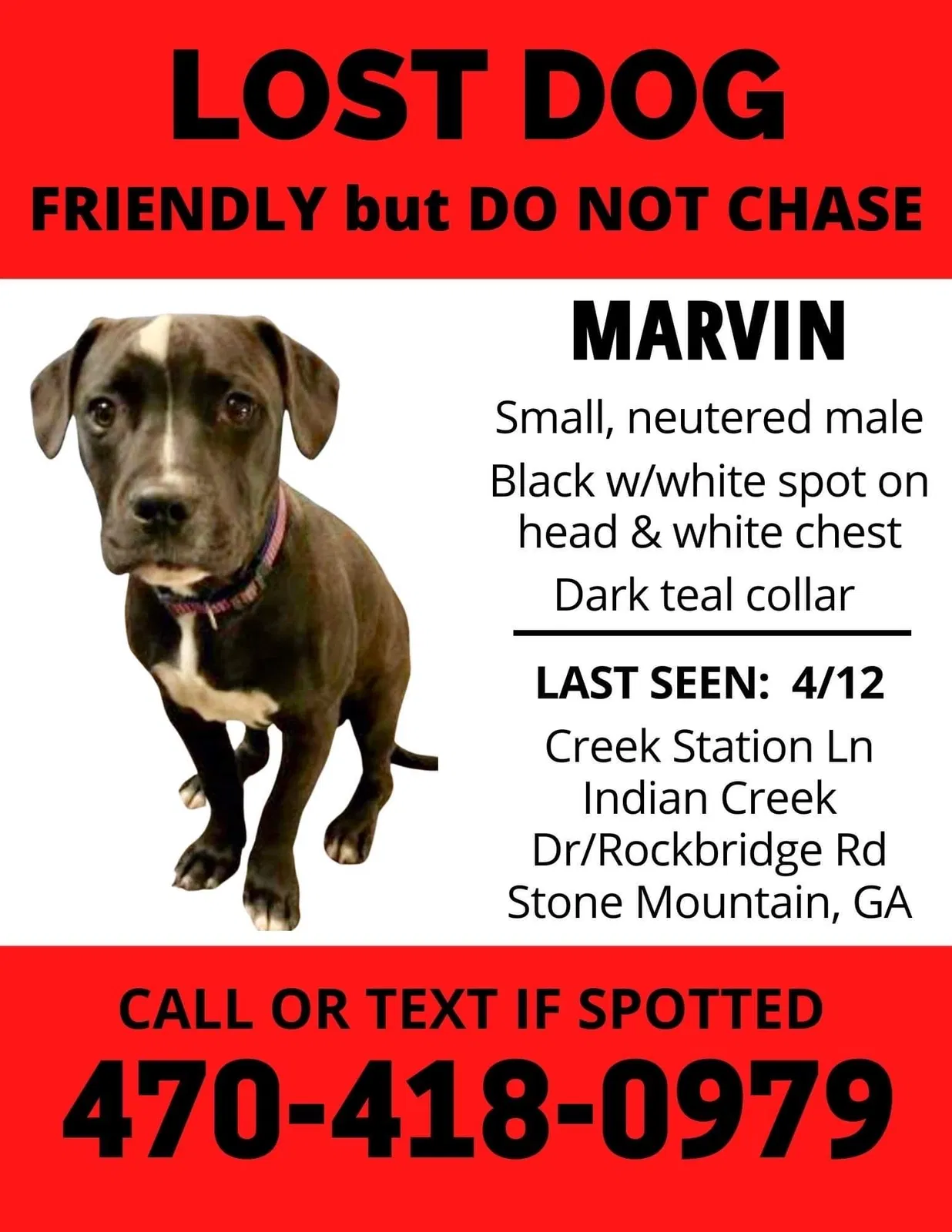 Lost dog in Stone Mountain, GA, 30083