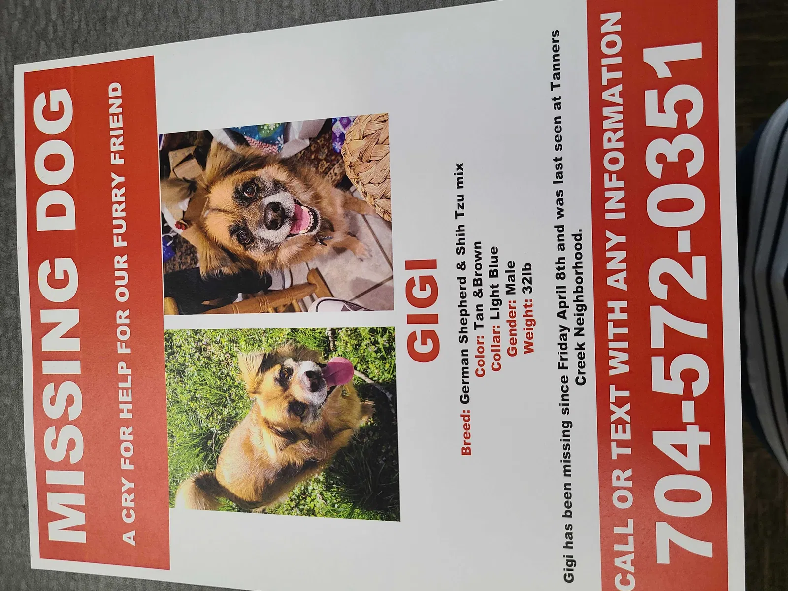 Lost dog in Huntersville, NC, 28078