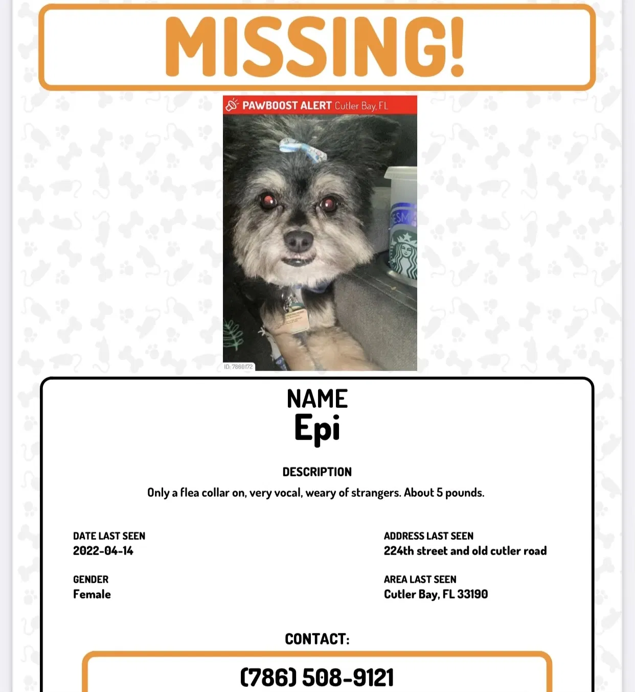Lost dog in Miami, FL, 33190