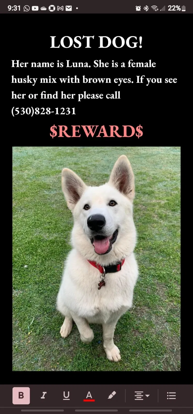 Lost dog in Oklahoma City, OK, 73127
