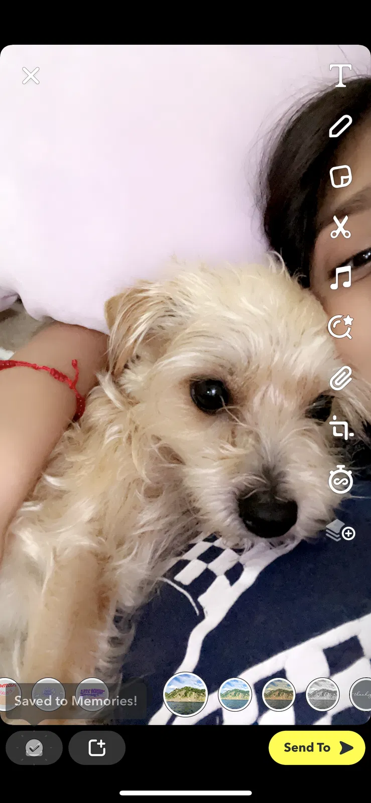 Lost dog in San Diego, CA, 92102