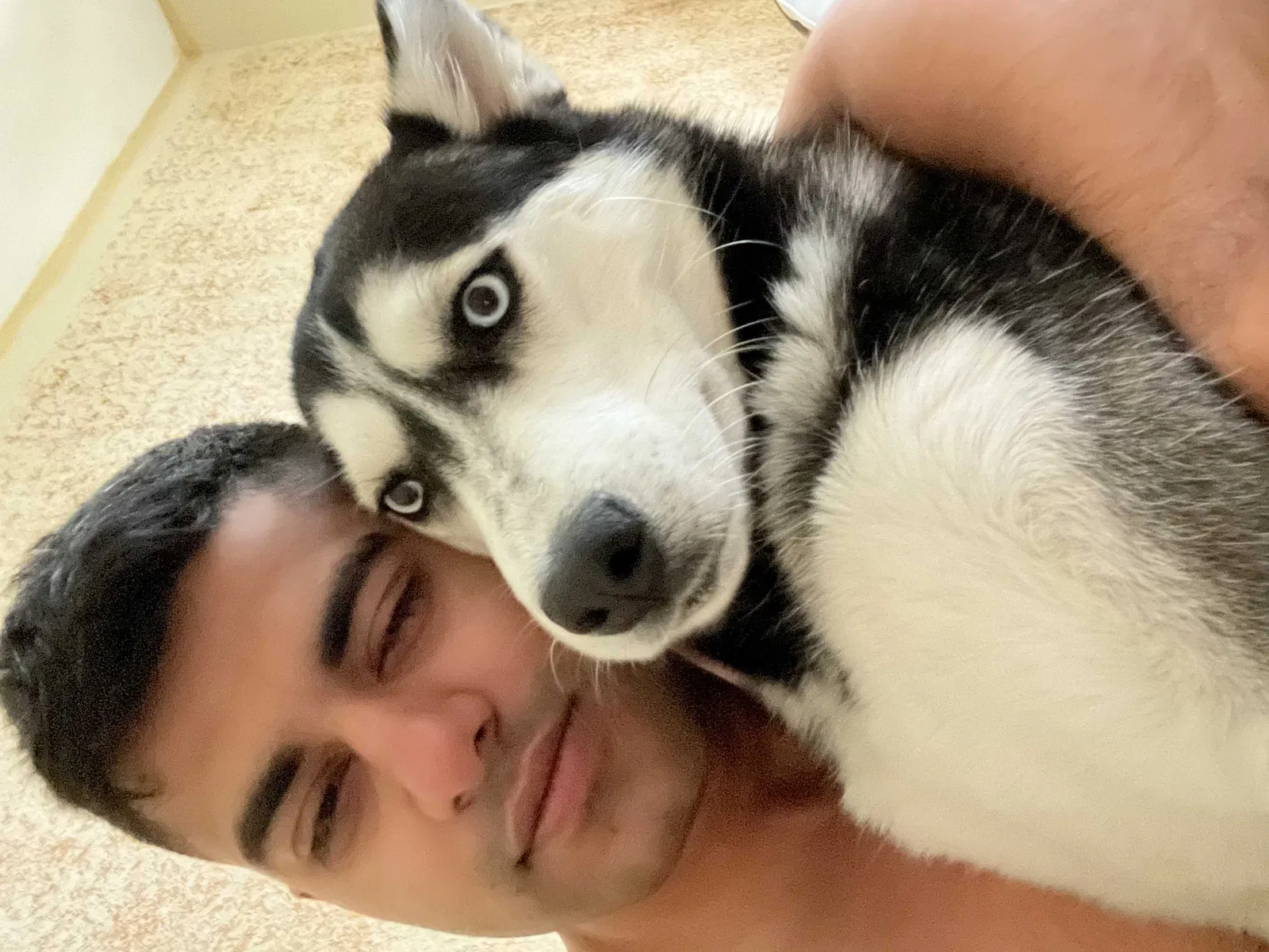 Lost dog in Killeen, TX, 76542