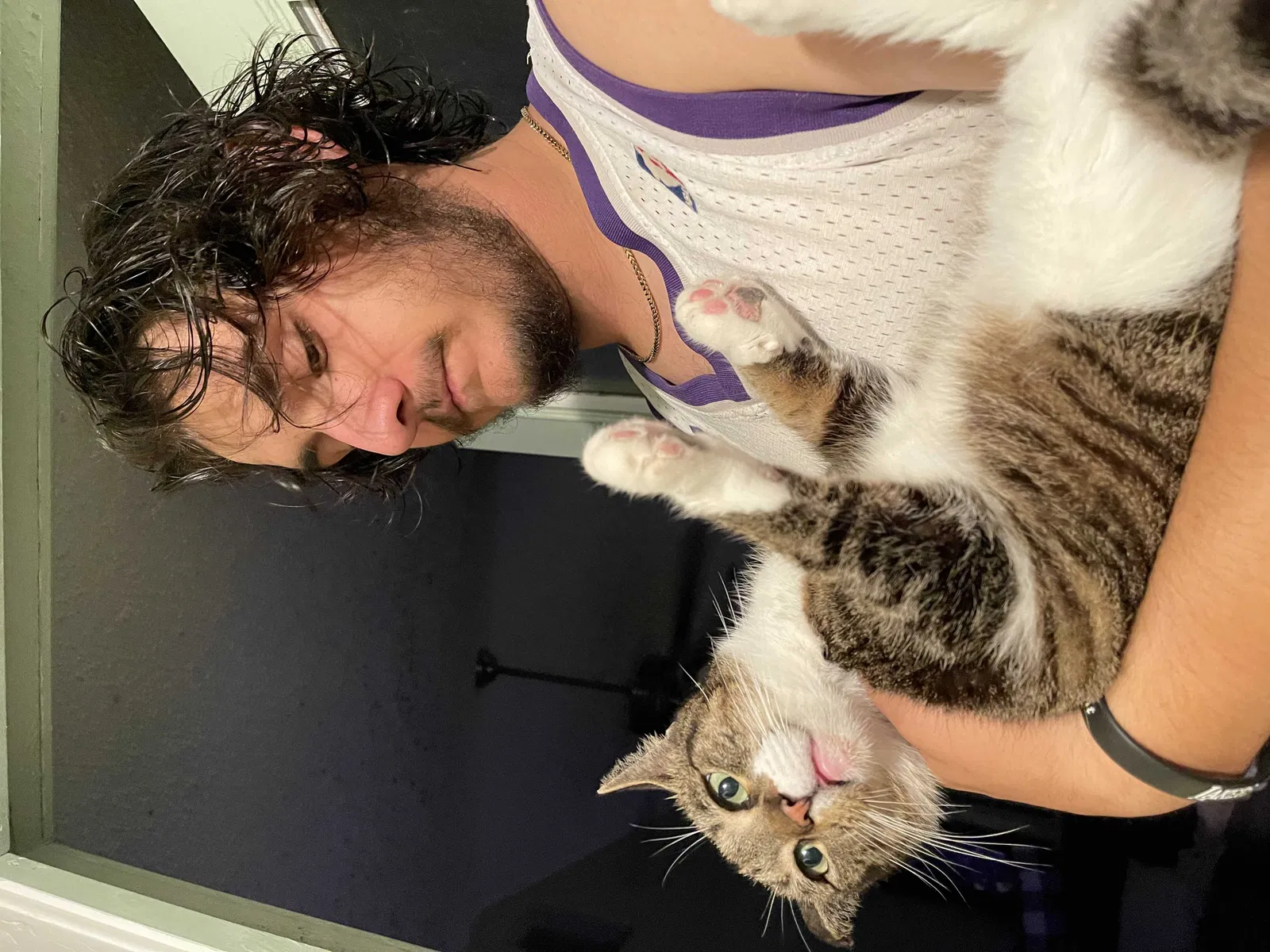 Lost cat in Deland, FL, 32724