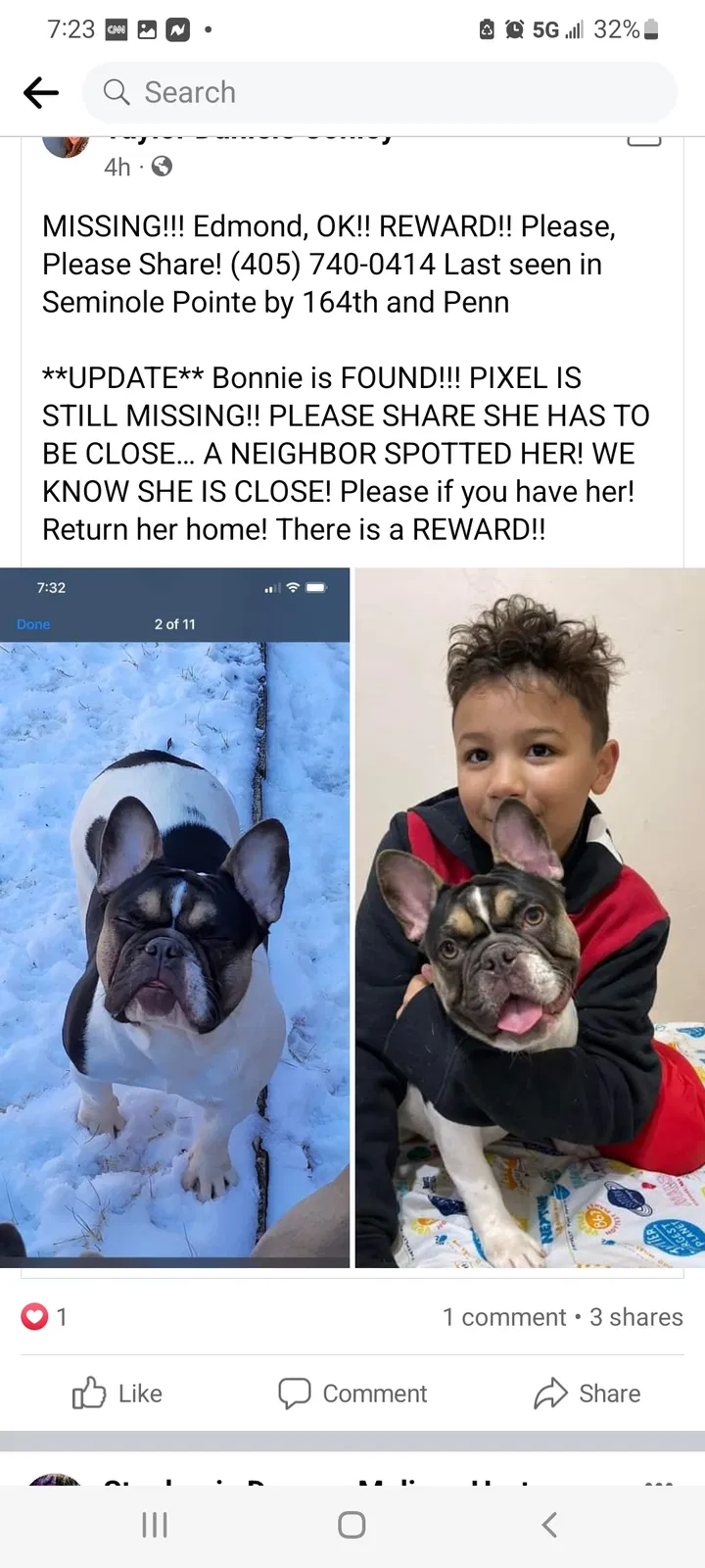 Lost dog in Edmond, OK, 73013