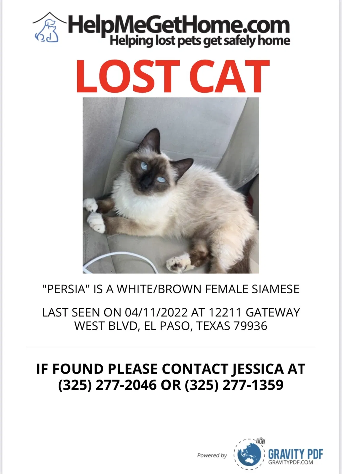 Lost cat in El Paso, TX, 79936