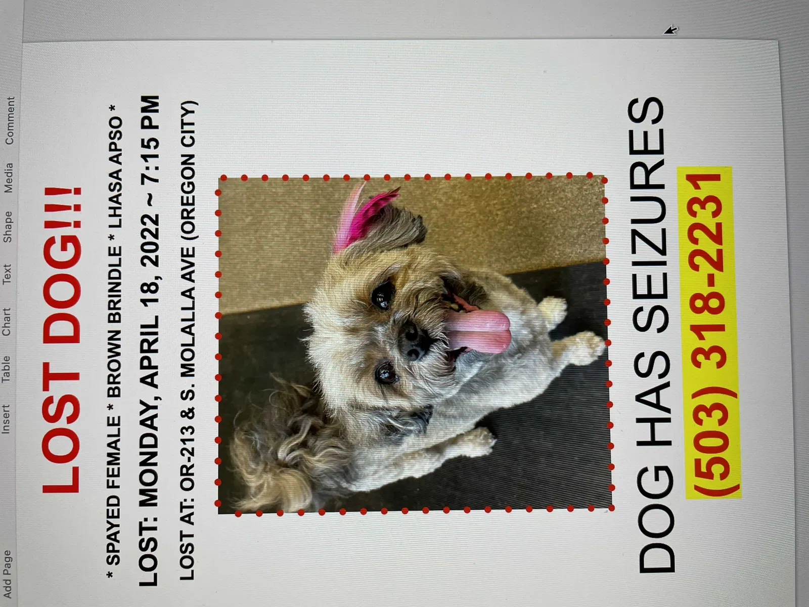Lost dog in Oregon City, OR, 97045