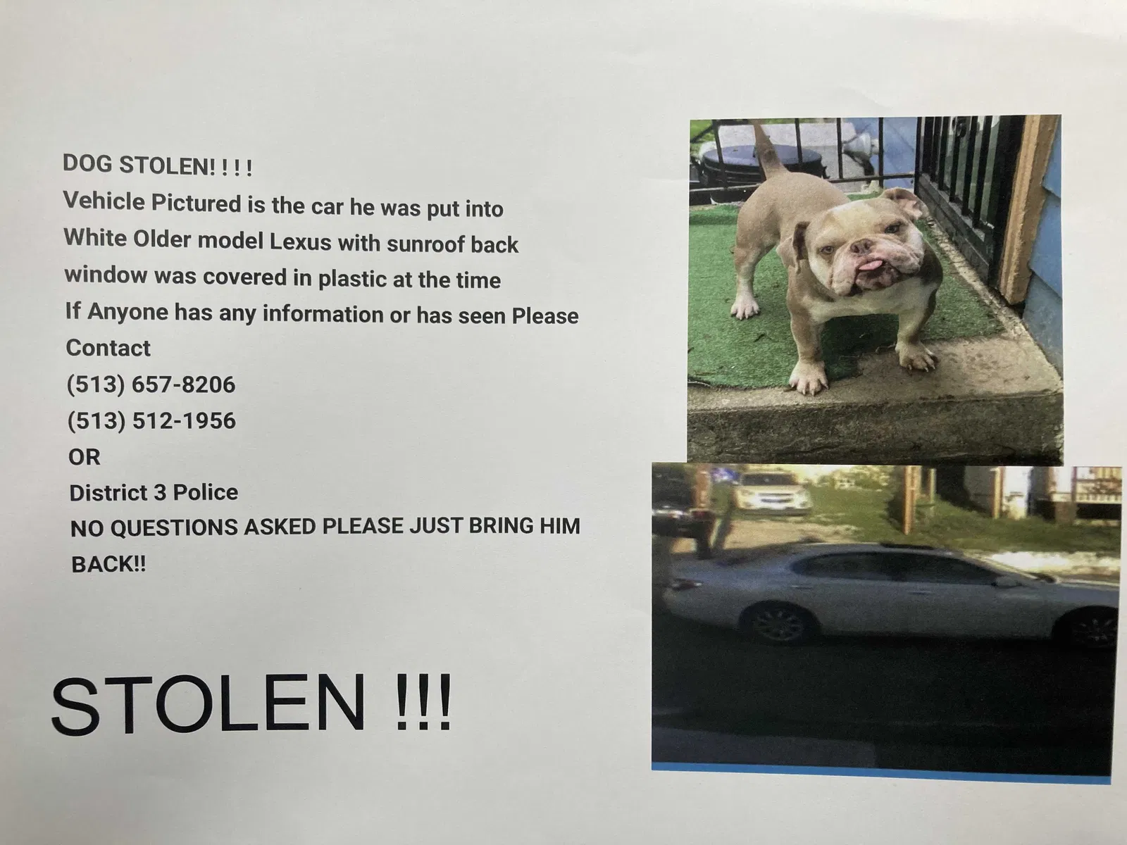 Lost dog in Cincinnati, OH, 45205