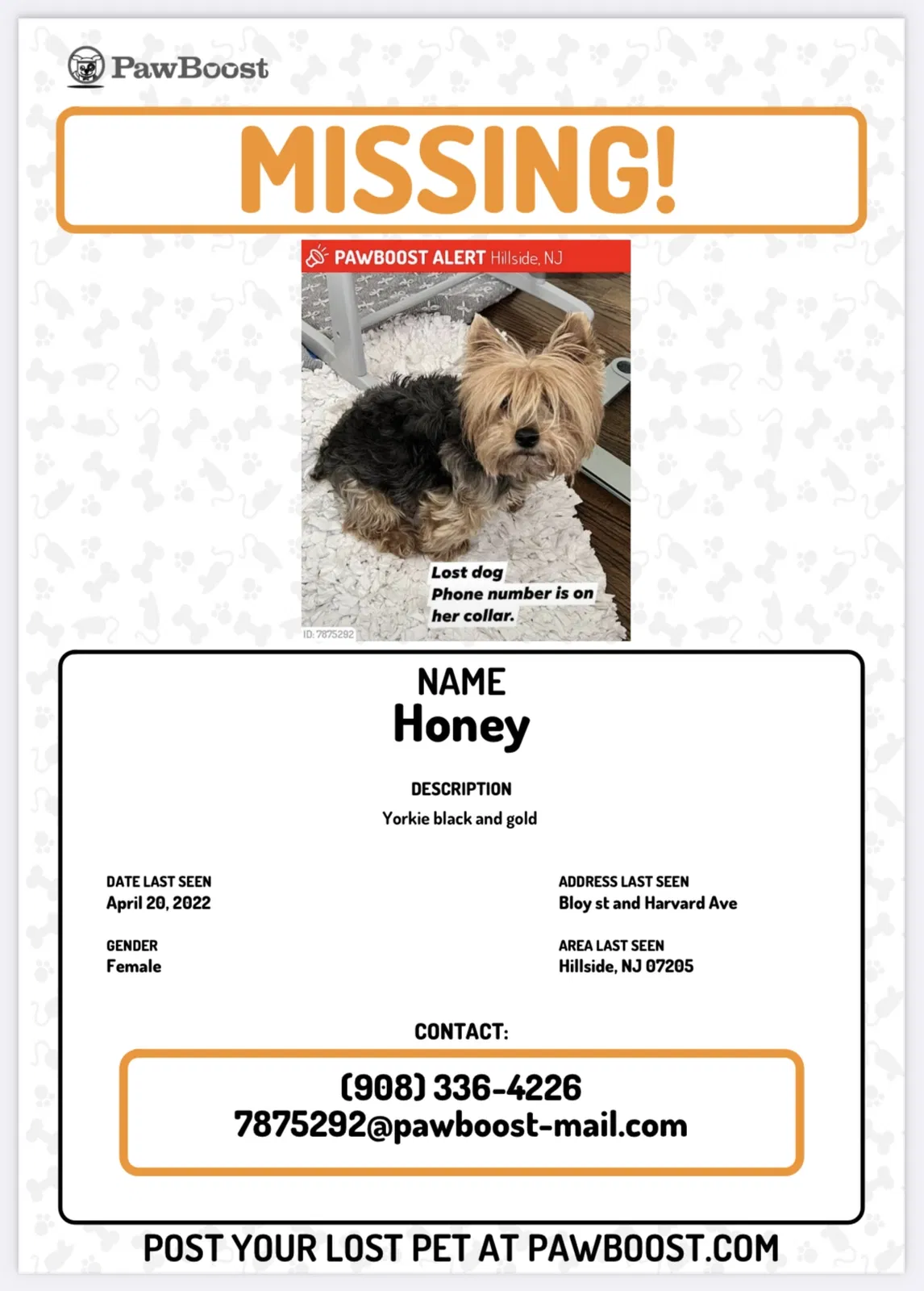 Lost dog in Hillside, NJ, 7205