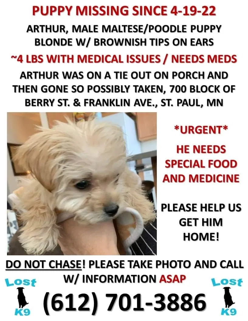 Lost dog in Saint Paul, MN, 55114