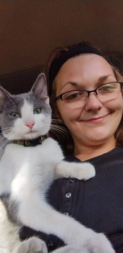 Lost cat in East Alton, IL, 62024