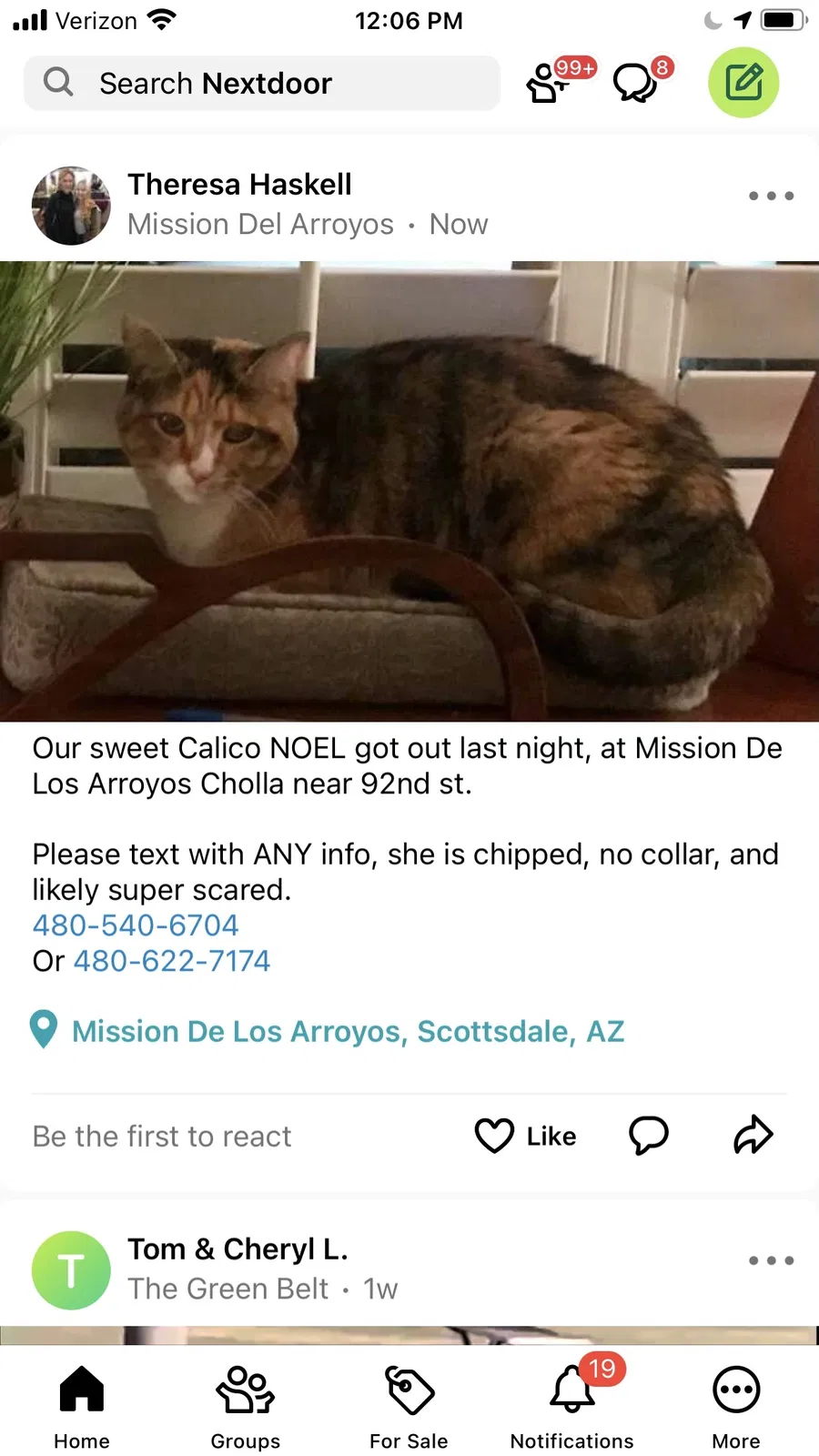 Lost cat in Scottsdale, AZ, 85260