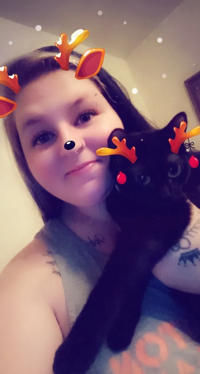 Lost cat in Breese, IL, 62230