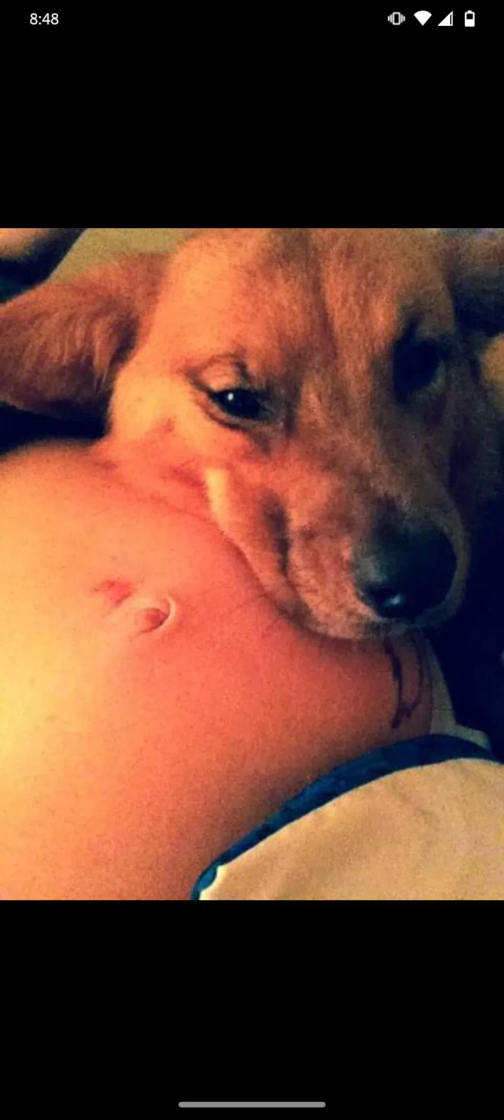 Lost dog in Tulsa, OK, 74129